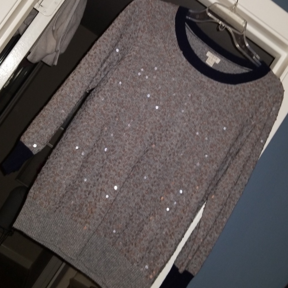 J Crew Squein Sweater